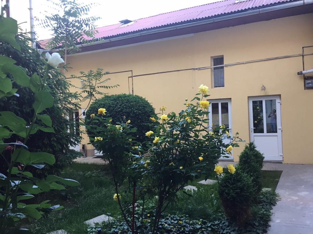 Vivaldi Studios Cluj-Napoca Exteriör bild